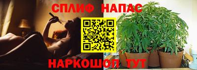 кокс Можайск