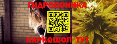 кокс Можайск