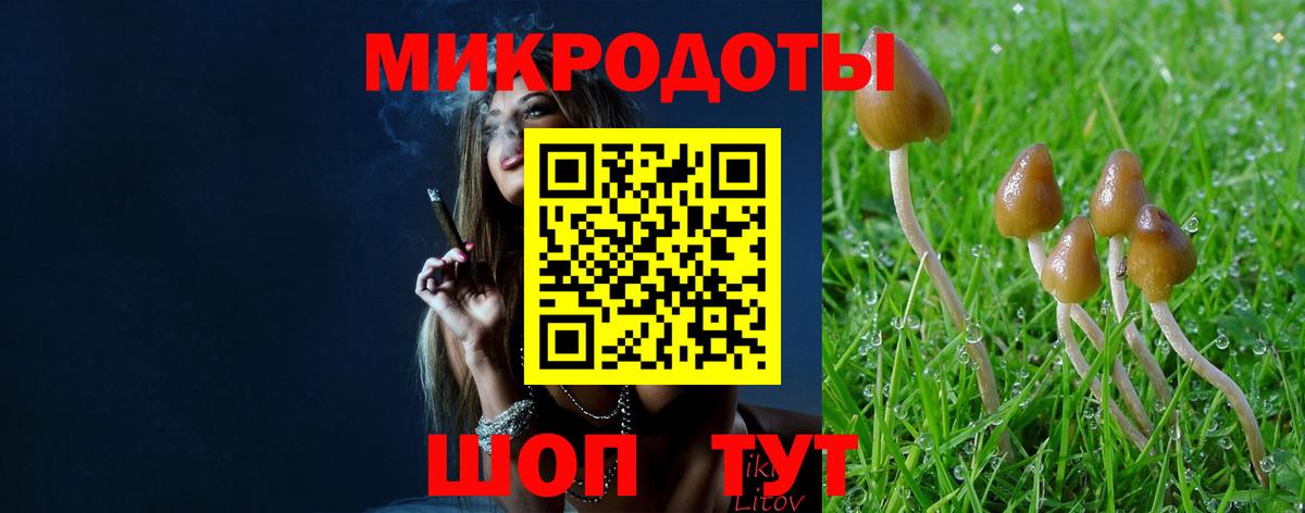 Волжск  Галлюциногенные грибы прущие грибы  Вход с VPN 